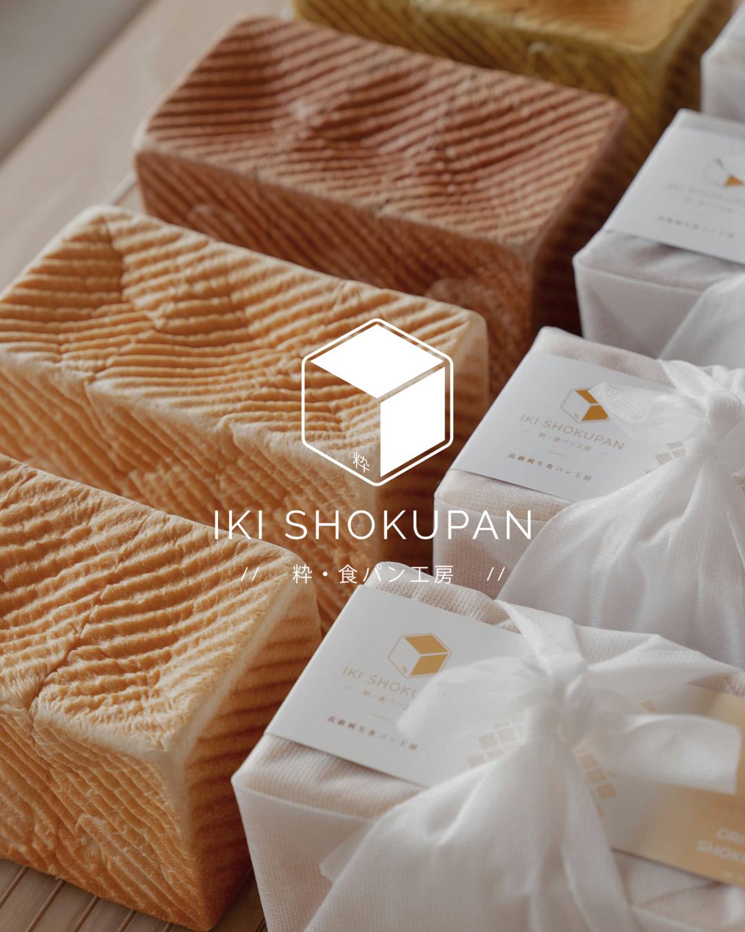 Marketing Partner | Branding + Store Launch